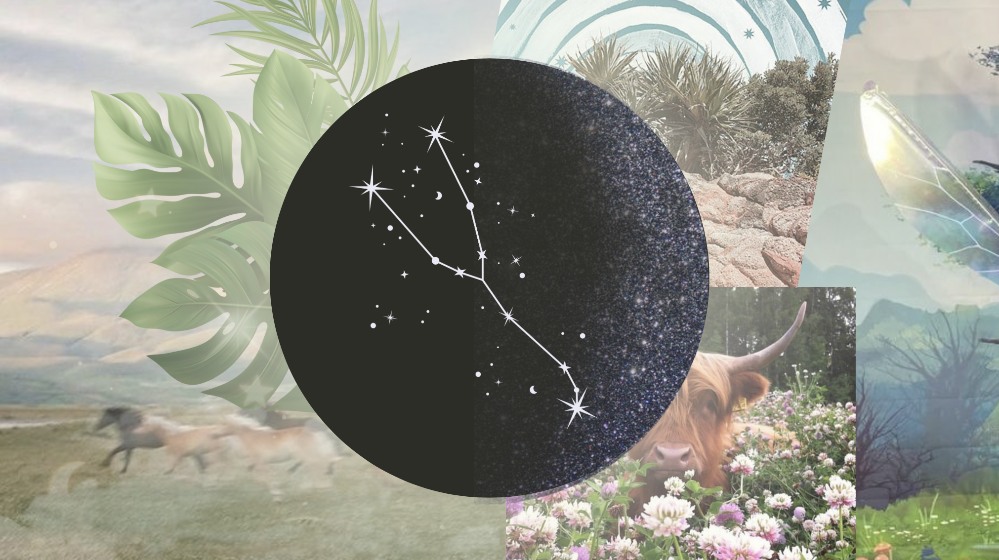 New Moon in Taurus Theme For Your Sign